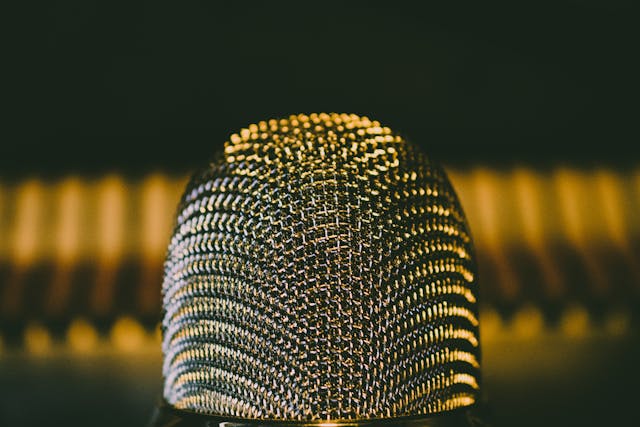 张弛声音训练营:声音训练领域的市场行情分析